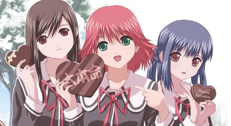 Tokimeki Memorial Only Love Batch Subtitle Indonesia