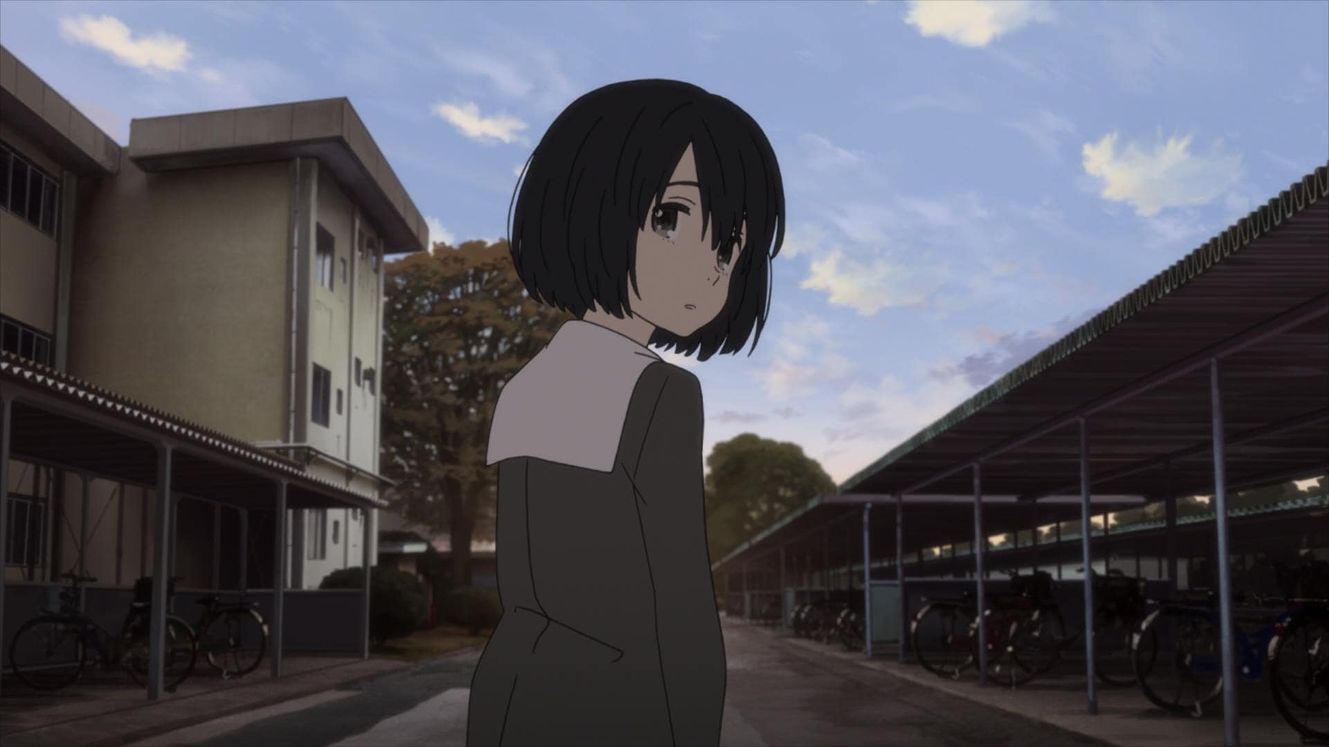 Kokoro ga Sakebitagatterunda. BD