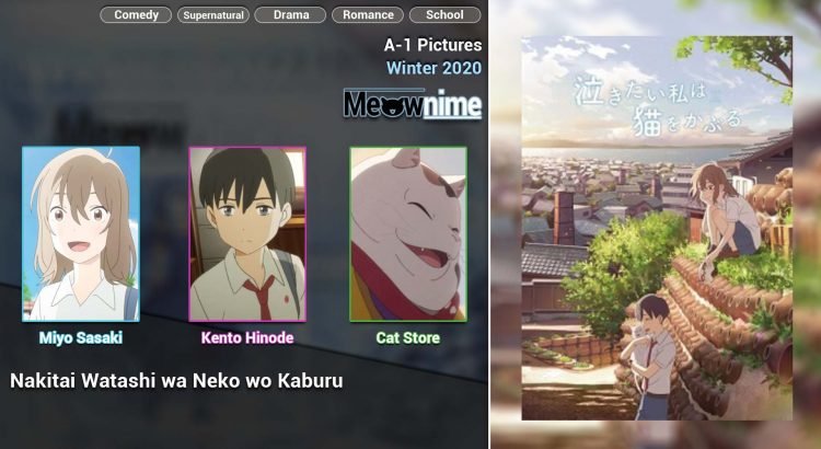 Nakitai Watashi wa Neko wo Kaburu