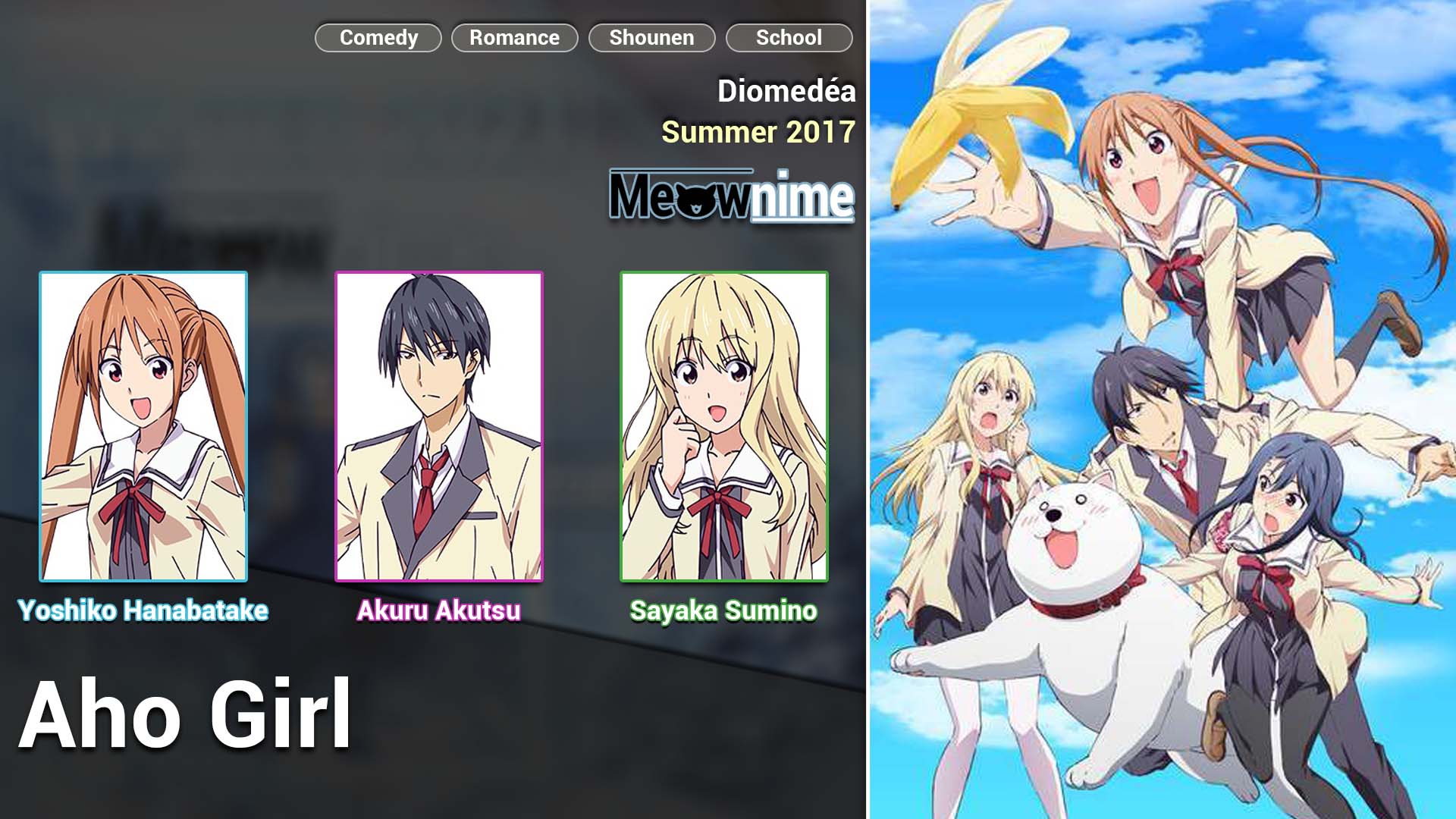 Aho Girl