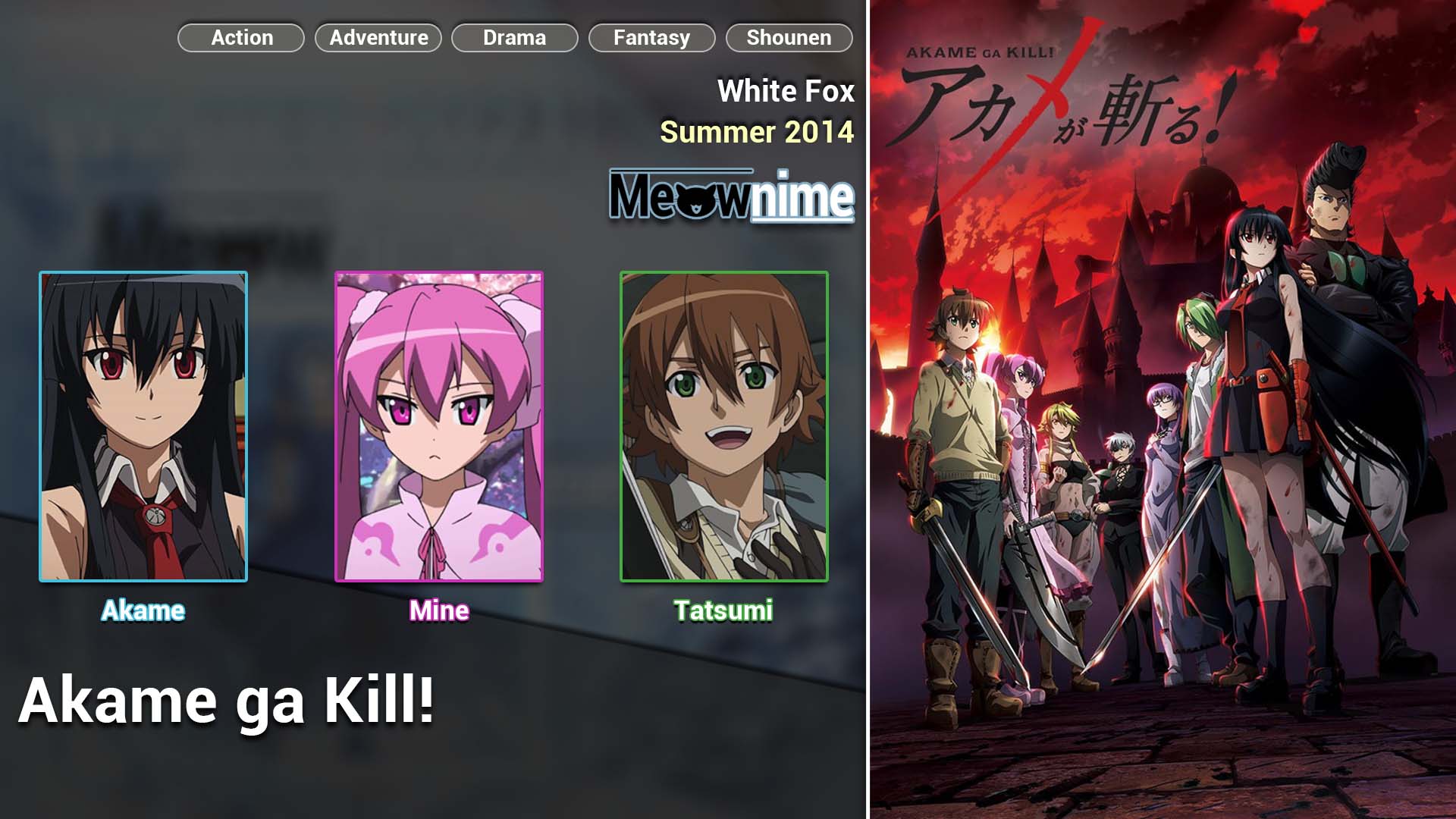 Akame ga Kill!