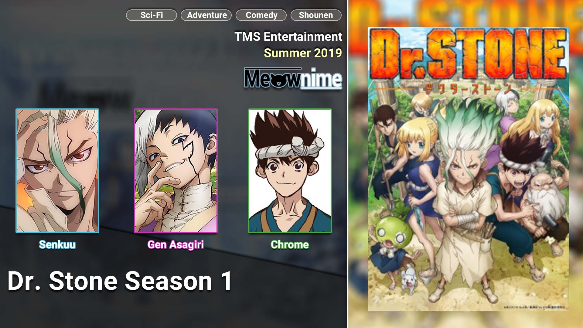 Dr Stone Season 1