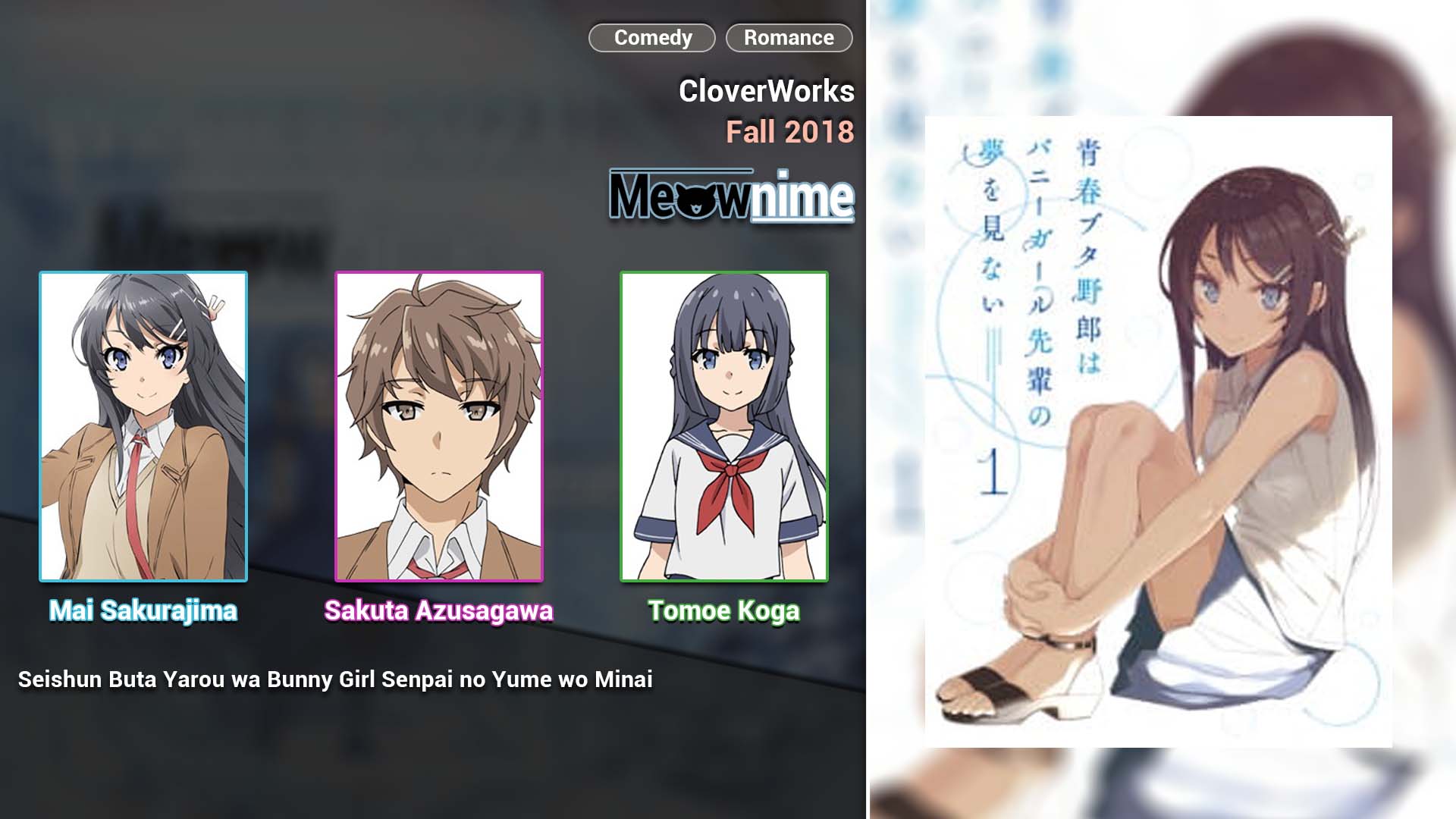Seishun Buta Yarou wa Bunny Girl Senpai no Yume wo Minai
